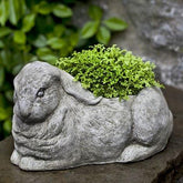 Photo of Campania Bunny Planter - Marquis Gardens
